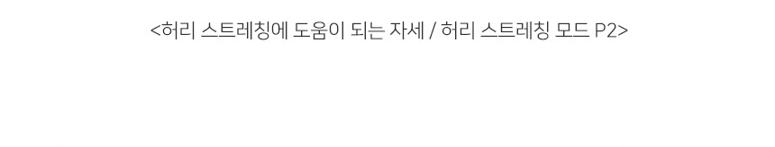 굿프렌드 신수지 온열 스트레칭 안마매트 GOOD-A5